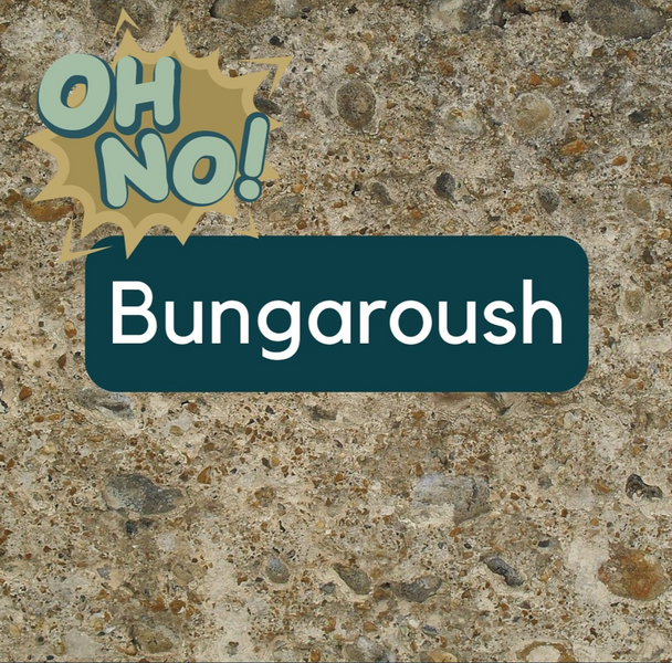 Have you heard of Bungaroosh?